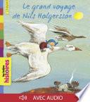 Le grand voyage de Nils Holgersonn