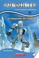 Le labyrinthe des ombres