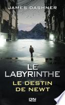 Le Labyrinthe : Le destin de Newt