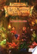 Le Maître des clés, tome 4 - La Terre des Elfes