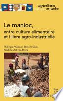 Le manioc, entre culture alimentaire et filière agro-industrielle
