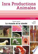 Le muscle et la viande