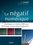 Le négatif numérique