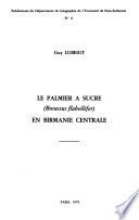 Le palmier a sucre (Borassus flabellifer) en Birmanie central
