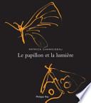 Le papillon et la lumière