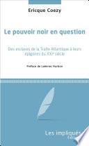 Le pouvoir noir en question