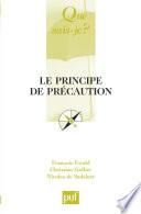 Le principe de précaution
