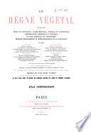 Le régne végétal