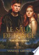 Le Saut de l'Ange