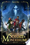 Le sorcier de Mondebrume - Roman médiéval-fantastique épique et sombre pour ado