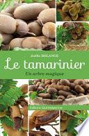 Le tamarinier