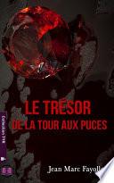 Le trésor de la Tour Aux Puces