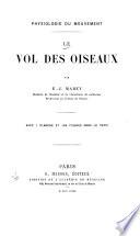 Le vol des oiseaux