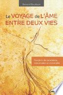 Le voyage de l'âme entre deux vies - Transferts de conscience, réincarnation et immortalité