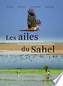Les ailes du Sahel