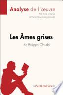 Les Âmes grises de Philippe Claudel (Analyse de l'oeuvre)