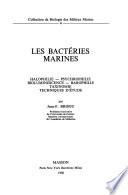 Les bactéries marines