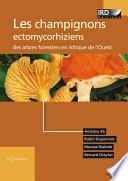 Les champignons ectomycorhiziens des arbres forestiers en Afrique de l’Ouest