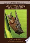 Les chauves-souris de Madagascar