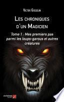 Les chroniques d'un Magicien