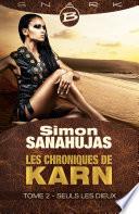Les Chroniques de Karn, T2 : Seuls les dieux