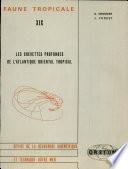 Les crevettes profondes de l'Atlantique oriental tropical