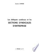 Livre Les délégués syndicaux et les sections syndicales d'entreprise