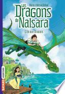 Les dragons de Nalsara, Tome 01