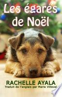 Les égarés de Noël