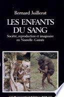 Les enfants du sang. Société, reproduction et imaginaire en Nouvelle-Guinée.