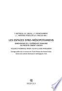 Les espaces syro-mésopotamiens