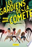 Les gardiens de la comète - L'attaque des pilleurs