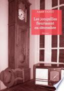 Les jonquilles fleurissent en décembre