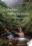 Les Libellules des Antilles françaises