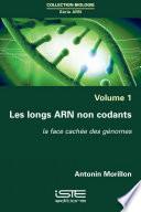 Les longs ARN non codants