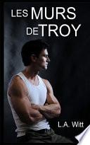 Les murs de Troy