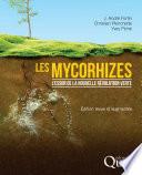 Les mycorhizes