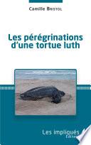 Les pérégrinations d'une tortue luth