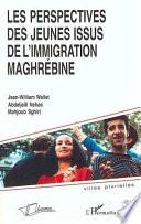 Les perspectives des jeunes issus de l'immigration maghrébine