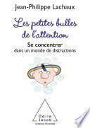 Les Petites bulles de l’attention