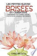 Les petites fleurs brisées du Cambodge
