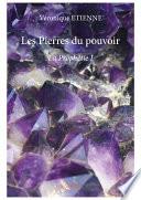 Les Pierres du pouvoir - I