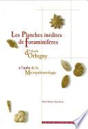 Les Planches inédites de Foraminifères d’Alcide d'Orbigny