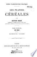 Les plantes céréales