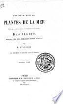 Les plus belles plantes de la mer: méthode à suivre dans la recherche et la recolte des algues