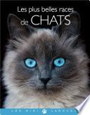 Les plus belles races de chats