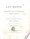 Les roses dessinees et enluminées d'après nature, avec une courte description botanique