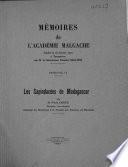 Les sapindacées de Madagascar