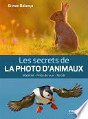 Les secrets de la photo d'animaux
