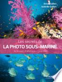 Les secrets de la photo sous-marine